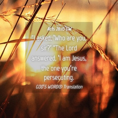 Picture 04 - Acts 26:15 GW - “I asked, ‘Who are you, sir?’ “The Lord - Bible Verse Picture