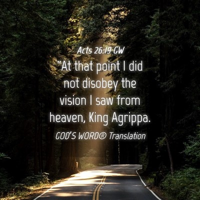 Picture 04 - Acts 26:19 GW - “At that point I did not disobey the vision I - Bible Verse Picture