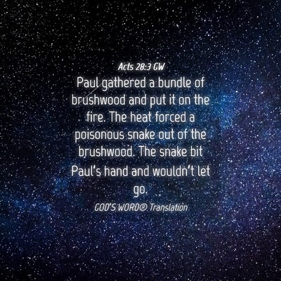 Picture 04 - Acts 28:3 GW - Paul gathered a bundle of brushwood and put it on - Bible Verse Picture