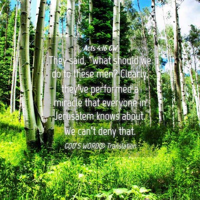 Picture 04 - Acts 4:16 GW - They said, “What should we do to these men? - Bible Verse Picture