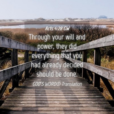 Picture 04 - Acts 4:28 GW - Through your will and power, they did everything - Bible Verse Picture