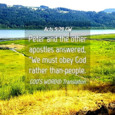 Picture 04 - Acts 5:29 GW - Peter and the other apostles answered, “We must - Bible Verse Picture