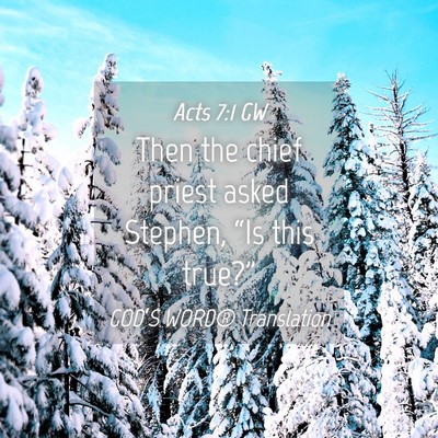 Picture 04 - Acts 7:1 GW - Then the chief priest asked Stephen, “Is this - Bible Verse Picture