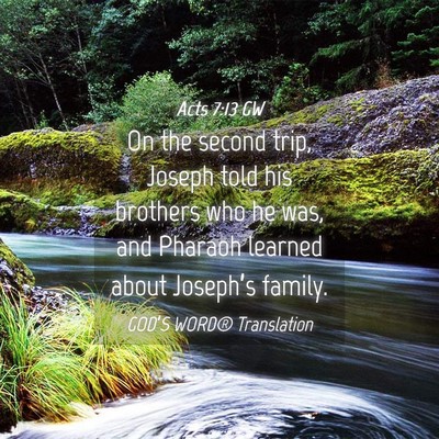 Picture 04 - Acts 7:13 GW - On the second trip, Joseph told his brothers who - Bible Verse Picture