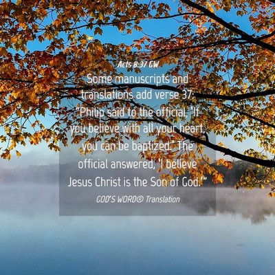 Picture 04 - Acts 8:37 GW - Some manuscripts and translations add verse 37: - Bible Verse Picture