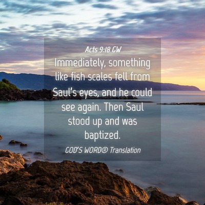 Picture 04 - Acts 9:18 GW - Immediately, something like fish scales fell from - Bible Verse Picture