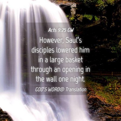 Picture 04 - Acts 9:25 GW - However, Saul’s disciples lowered him in a - Bible Verse Picture