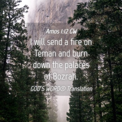Picture 04 - Amos 1:12 GW - I will send a fire on Teman and burn down the - Bible Verse Picture