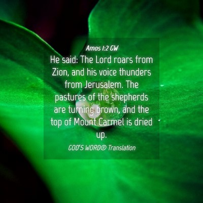 Picture 04 - Amos 1:2 GW - He said: The Lord roars from Zion, and his voice - Bible Verse Picture