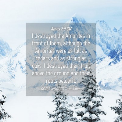 Picture 04 - Amos 2:9 GW - I destroyed the Amorites in front of them, - Bible Verse Picture