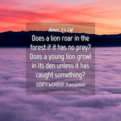 Picture 04 - Amos 3:4 GW - Does a lion roar in the forest if it has no prey? - Bible Verse Picture