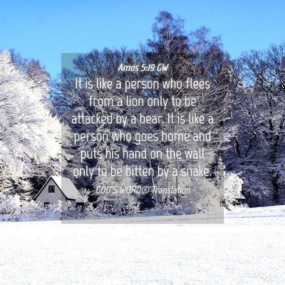 Picture 04 - Amos 5:19 GW - It is like a person who flees from a lion only to - Bible Verse Picture