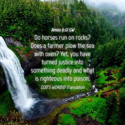 Picture 04 - Amos 6:12 GW - Do horses run on rocks? Does a farmer plow the - Bible Verse Picture