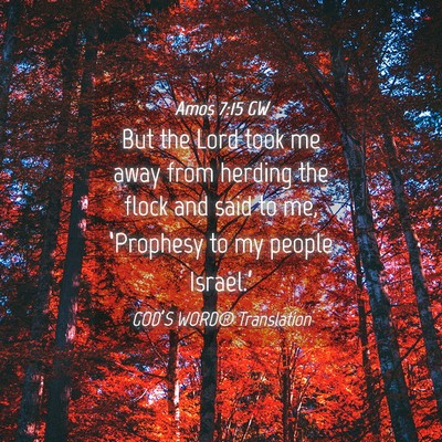 Picture 04 - Amos 7:15 GW - But the Lord took me away from herding the flock - Bible Verse Picture