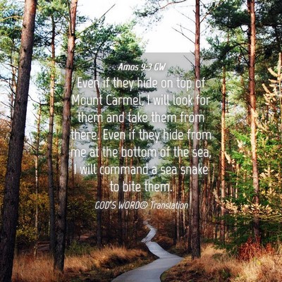 Picture 04 - Amos 9:3 GW - Even if they hide on top of Mount Carmel, I will - Bible Verse Picture