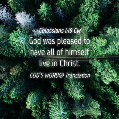 Picture 04 - Colossians 1:19 GW - God was pleased to have all of himself live in - Bible Verse Picture