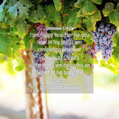 Picture 04 - Colossians 1:24 GW - I am happy to suffer for you now. In my body I am - Bible Verse Picture
