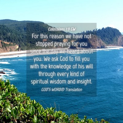 Picture 04 - Colossians 1:9 GW - For this reason we have not stopped praying for - Bible Verse Picture