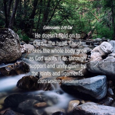 Picture 04 - Colossians 2:19 GW - He doesn’t hold on to Christ, the head. Christ - Bible Verse Picture