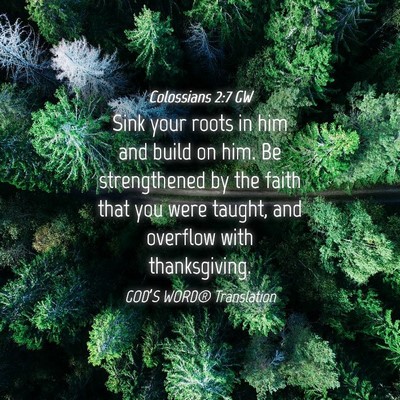 Picture 04 - Colossians 2:7 GW - Sink your roots in him and build on him. Be - Bible Verse Picture