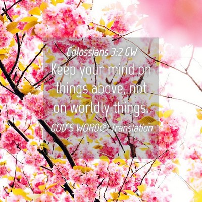 Picture 04 - Colossians 3:2 GW - Keep your mind on things above, not on worldly - Bible Verse Picture