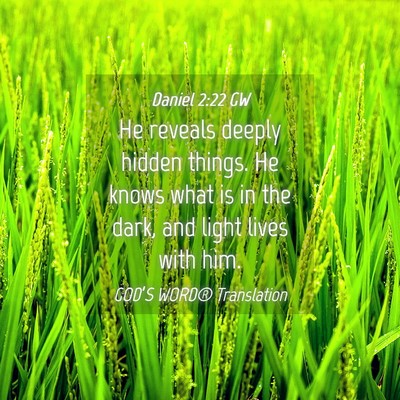 Picture 04 - Daniel 2:22 GW - He reveals deeply hidden things. He knows what is - Bible Verse Picture