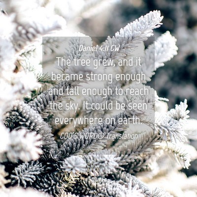 Picture 04 - Daniel 4:11 GW - The tree grew, and it became strong enough and - Bible Verse Picture