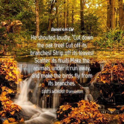 Picture 04 - Daniel 4:14 GW - He shouted loudly, ‘Cut down the oak tree! Cut - Bible Verse Picture