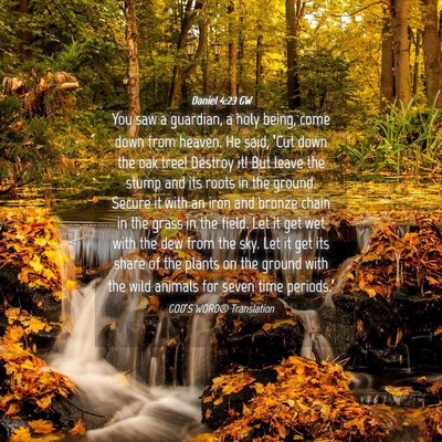 Picture 04 - Daniel 4:23 GW - You saw a guardian, a holy being, come down from - Bible Verse Picture