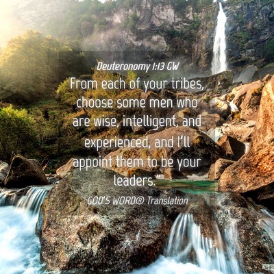 Picture 04 - Deuteronomy 1:13 GW - From each of your tribes, choose some men who are - Bible Verse Picture
