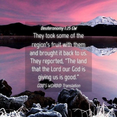 Picture 04 - Deuteronomy 1:25 GW - They took some of the region’s fruit with them - Bible Verse Picture
