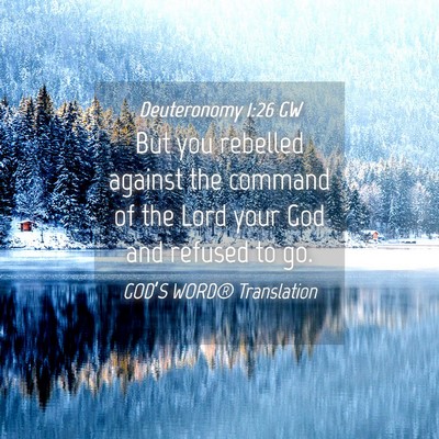 Picture 04 - Deuteronomy 1:26 GW - But you rebelled against the command of the Lord - Bible Verse Picture