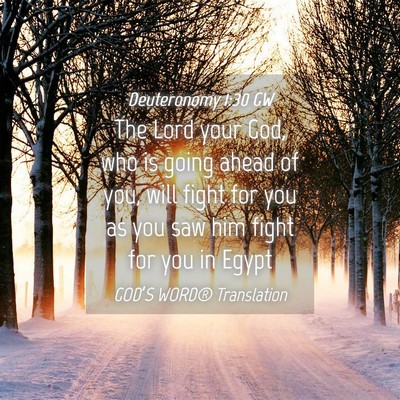 Picture 04 - Deuteronomy 1:30 GW - The Lord your God, who is going ahead of you, - Bible Verse Picture