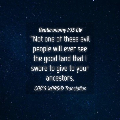 Picture 04 - Deuteronomy 1:35 GW - “Not one of these evil people will ever see the - Bible Verse Picture