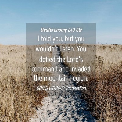 Picture 04 - Deuteronomy 1:43 GW - I told you, but you wouldn’t listen. You defied - Bible Verse Picture