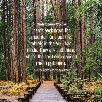 Picture 04 - Deuteronomy 10:5 GW - I came back down the mountain and put the tablets - Bible Verse Picture
