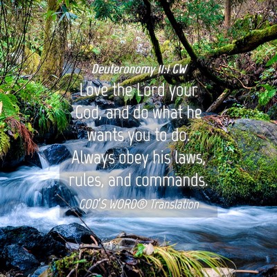 Picture 04 - Deuteronomy 11:1 GW - Love the Lord your God, and do what he wants you - Bible Verse Picture