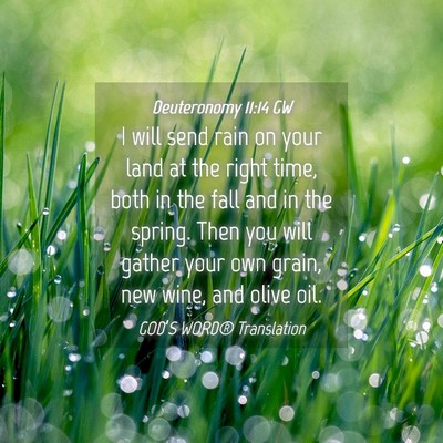 Picture 04 - Deuteronomy 11:14 GW - I will send rain on your land at the right time, - Bible Verse Picture