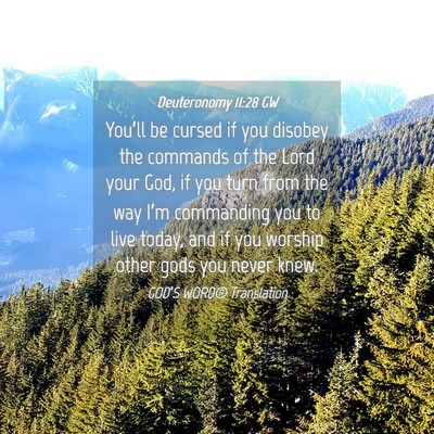 Picture 04 - Deuteronomy 11:28 GW - You’ll be cursed if you disobey the commands of - Bible Verse Picture