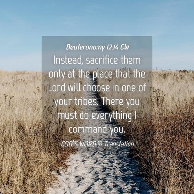 Picture 04 - Deuteronomy 12:14 GW - Instead, sacrifice them only at the place that - Bible Verse Picture