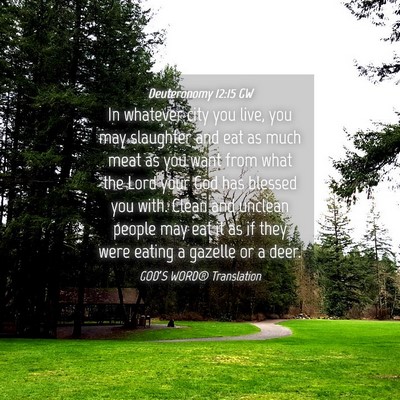 Picture 04 - Deuteronomy 12:15 GW - In whatever city you live, you may slaughter and - Bible Verse Picture