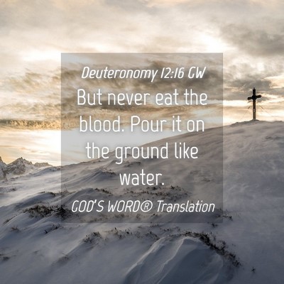 Picture 04 - Deuteronomy 12:16 GW - But never eat the blood. Pour it on the ground - Bible Verse Picture