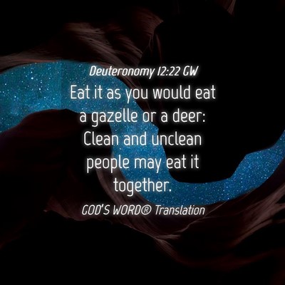 Picture 04 - Deuteronomy 12:22 GW - Eat it as you would eat a gazelle or a deer: - Bible Verse Picture