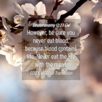 Picture 04 - Deuteronomy 12:23 GW - However, be sure you never eat blood, because - Bible Verse Picture