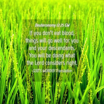 Picture 04 - Deuteronomy 12:25 GW - If you don’t eat blood, things will go well for - Bible Verse Picture