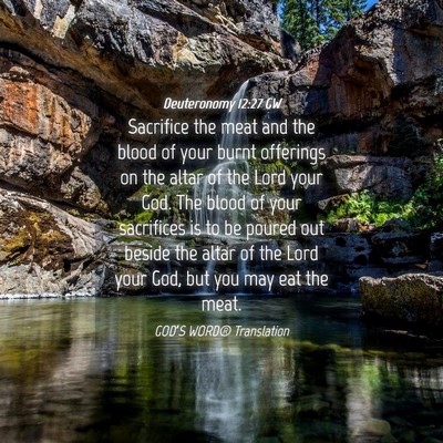 Picture 04 - Deuteronomy 12:27 GW - Sacrifice the meat and the blood of your burnt - Bible Verse Picture