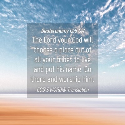 Picture 04 - Deuteronomy 12:5 GW - The Lord your God will choose a place out of all - Bible Verse Picture