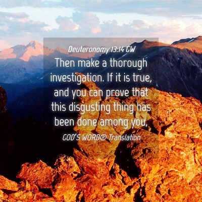 Picture 04 - Deuteronomy 13:14 GW - Then make a thorough investigation. If it is - Bible Verse Picture
