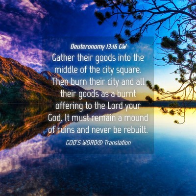 Picture 04 - Deuteronomy 13:16 GW - Gather their goods into the middle of the city - Bible Verse Picture