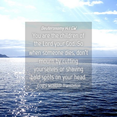 Picture 04 - Deuteronomy 14:1 GW - You are the children of the Lord your God. So - Bible Verse Picture